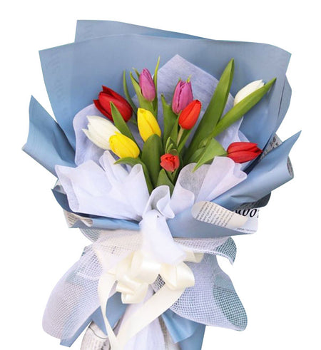 Tulips Flowers 16 - Vietnamese Flowers