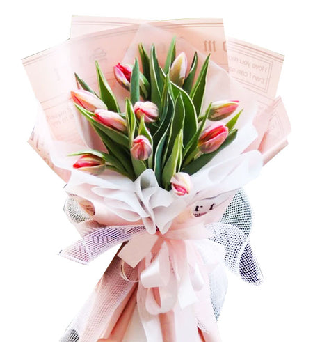 Tulips Flowers 17 - Vietnamese Flowers