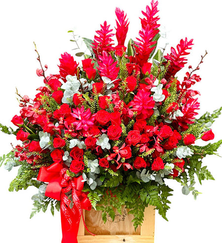 vietnamese christmas flowers 24a