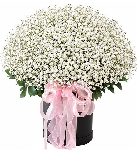 White Cloud Flowers Vietnam