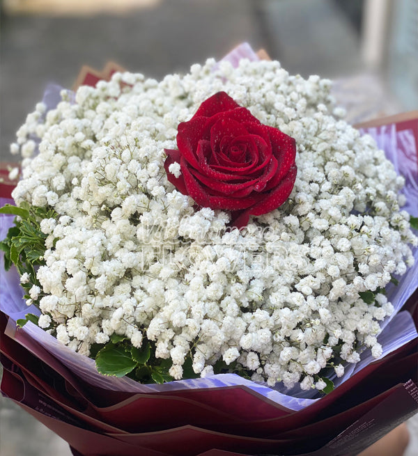 1 Rose Vietnam - Vietnamese Flowers