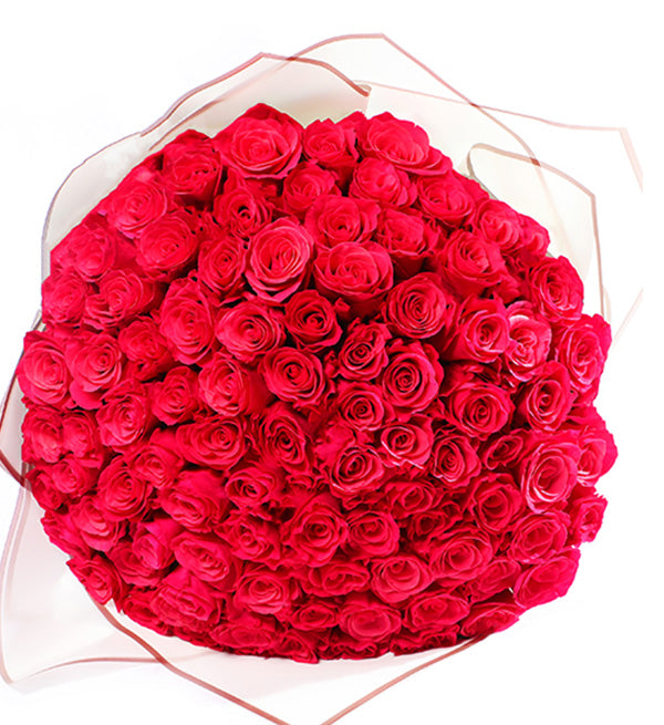 99-red-roses-valentine-02