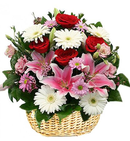 Baby Flowers 100 - Vietnamese Flowers