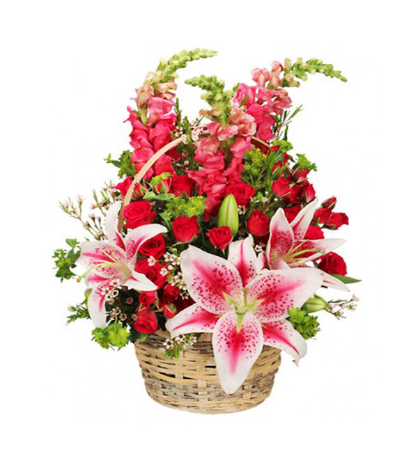 Baby Flowers 50 - Vietnamese Flowers