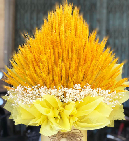 Barley Flowers 03 - Vietnamese Flowers