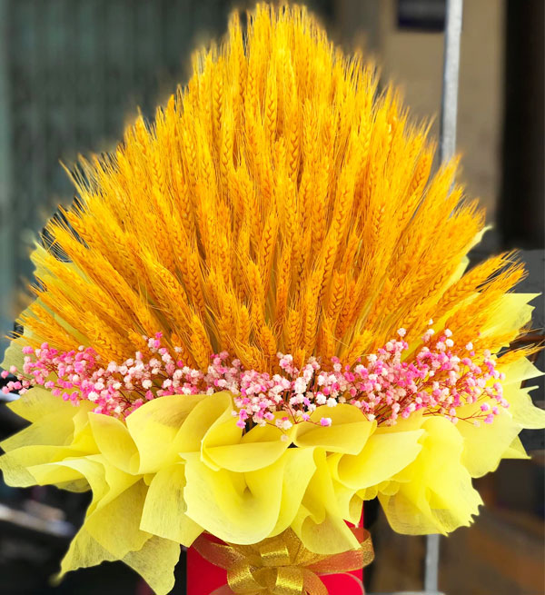 Barley Flowers 04 - Vietnamese Flowers