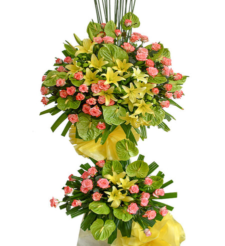 Congratulations Flowers 17 - Vietnamese Flowers