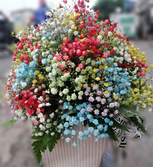 Flowers Soc Trang - Vietnamese Flowers