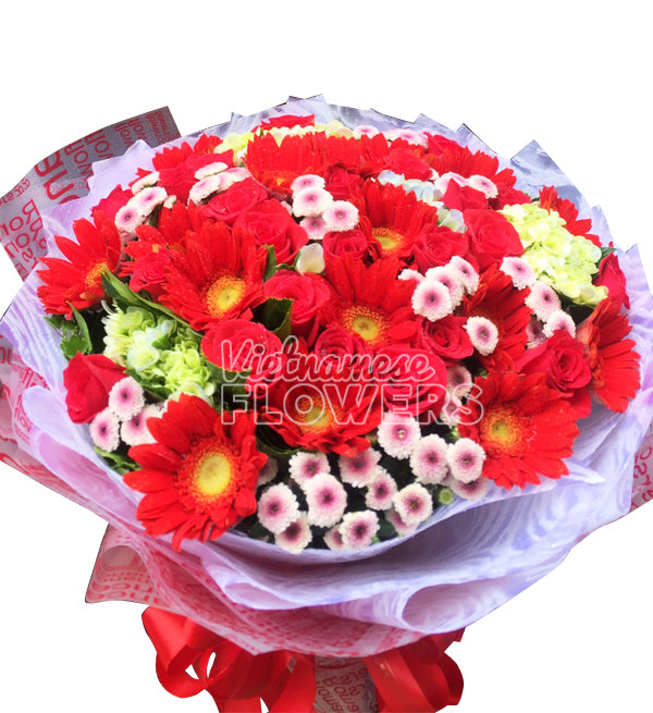 Gerbera Flowers 14 - Vietnamese Flowers