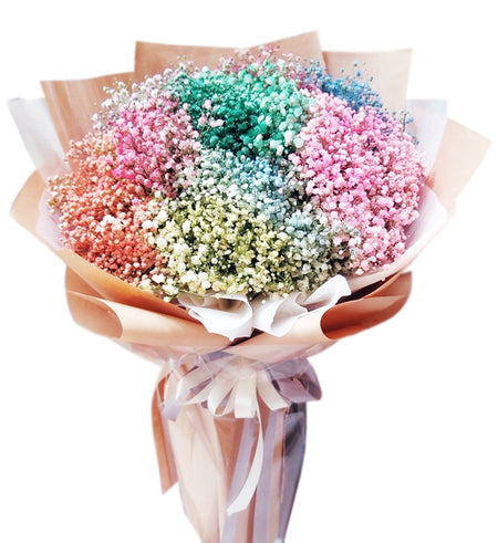 Gypsophila Baby's Breath #5 - Vietnamese Flowers