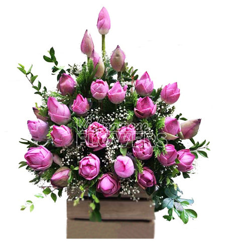 Lotus Flower #8 - Vietnamese Flowers