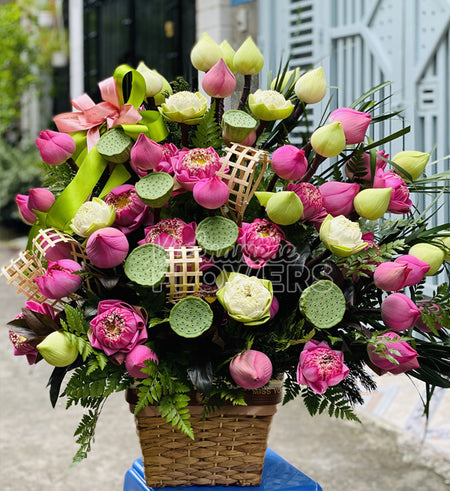 Lotus Flower Vietnam - Vietnamese Flowers