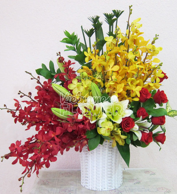 Mixed Orchid Vietnam - Vietnamese Flowers