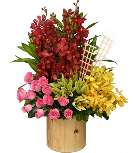 Mixed Orchids 35 - Vietnamese Flowers