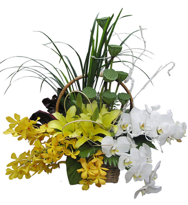 Mixed Orchids 55 - Vietnamese Flowers