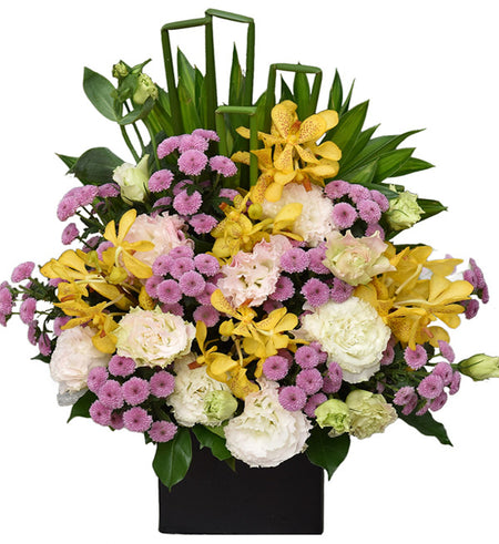 Mixed Orchids 65 - Vietnamese Flowers