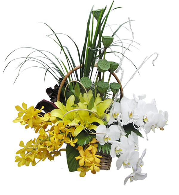 Orchids & Lilies #9 - Vietnamese Flowers
