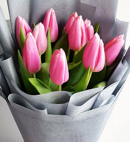Tulips Vietnam - Vietnamese Flowers