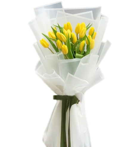 Tulips Flowers 18 - Vietnamese Flowers