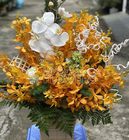 Vietnamese Teacher's Day Flowers 04 - Vietnamese Flowers