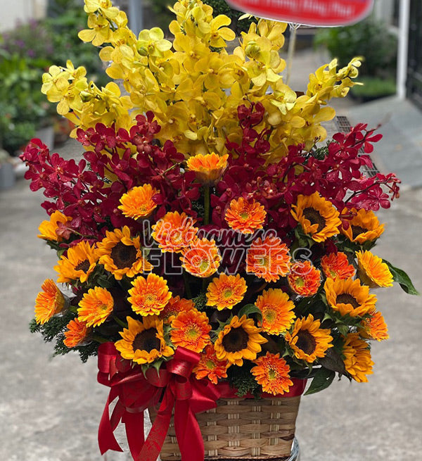 Vietnamese Teacher's Day Flowers 16 - Vietnamese Flowers
