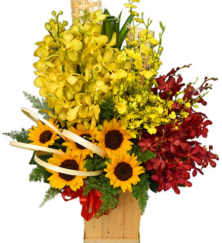 Women's Day Flowers 34 - Vietnamese Flowers